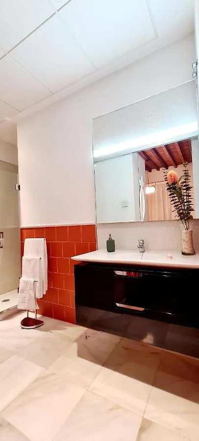 Apartment Apartamento Vina P. Malaga Centro