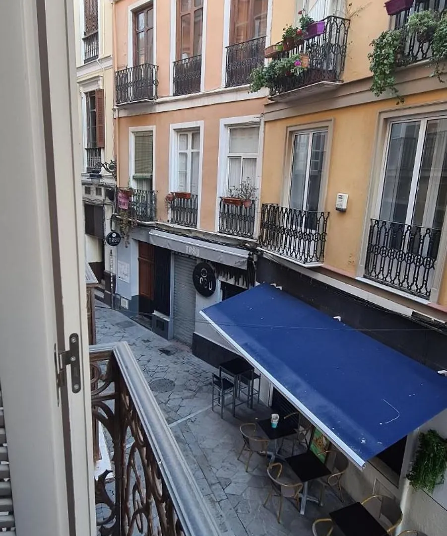 Apartamento Vina P. Malaga Centro 0*,  Spain